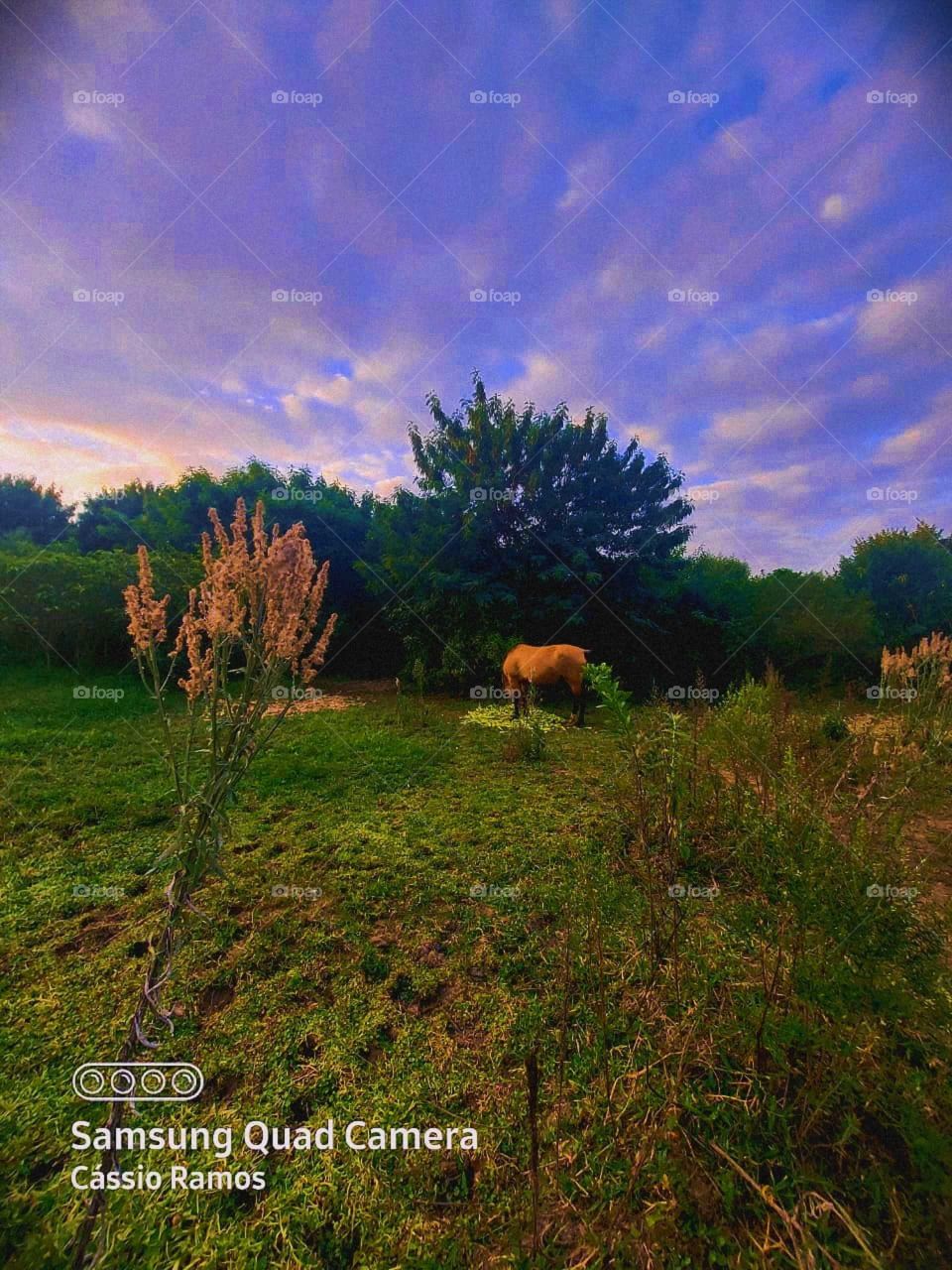 Blessed is the laughter that occupies a privileged place in the face of those who know how to live