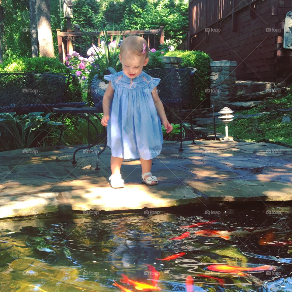 Admiring the goldfish