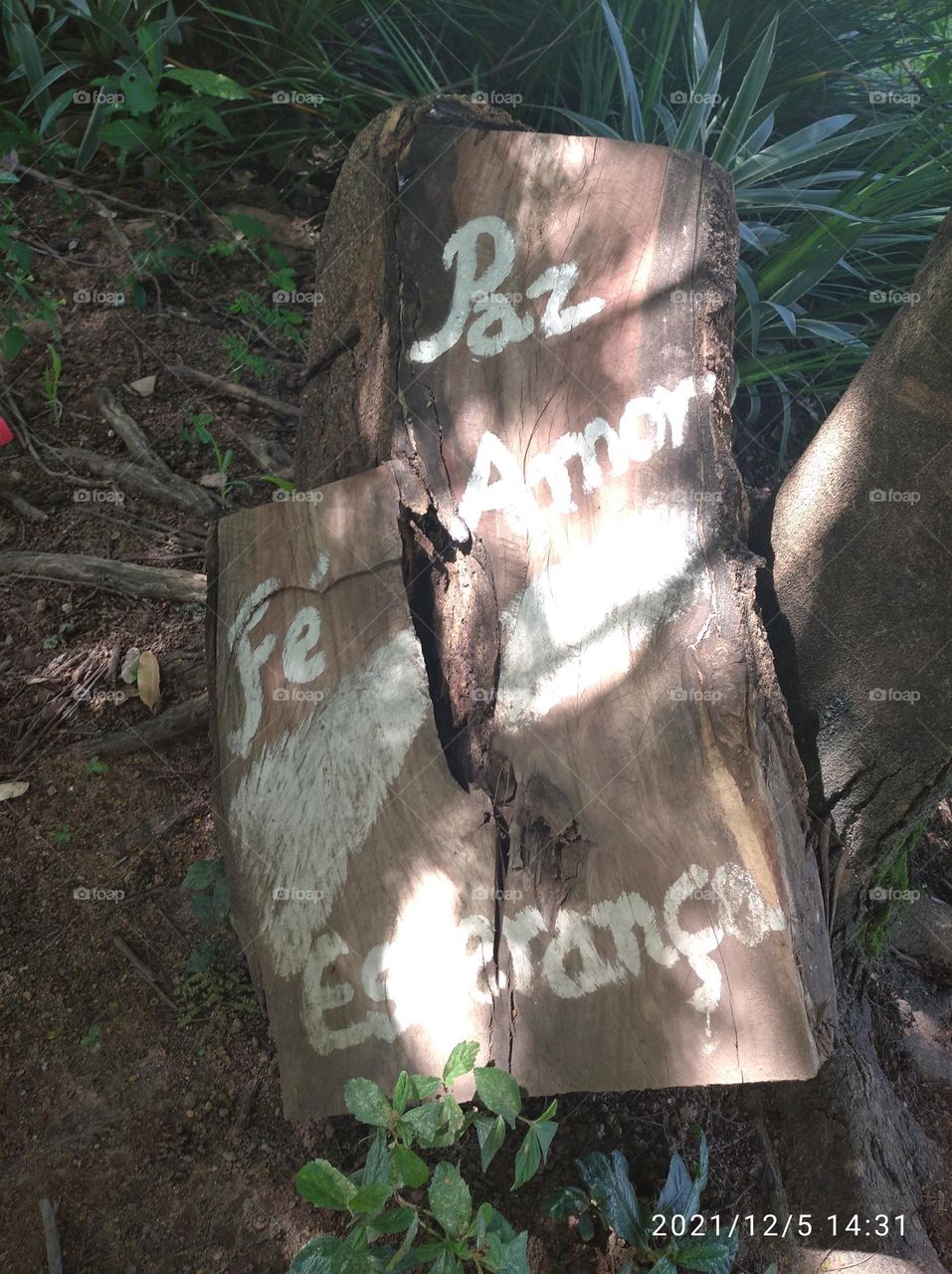 mensagem na madeira