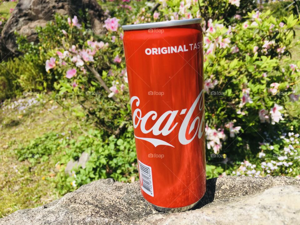 Coca-cola in the middle of garden seeking a new owner to drink for him 😃