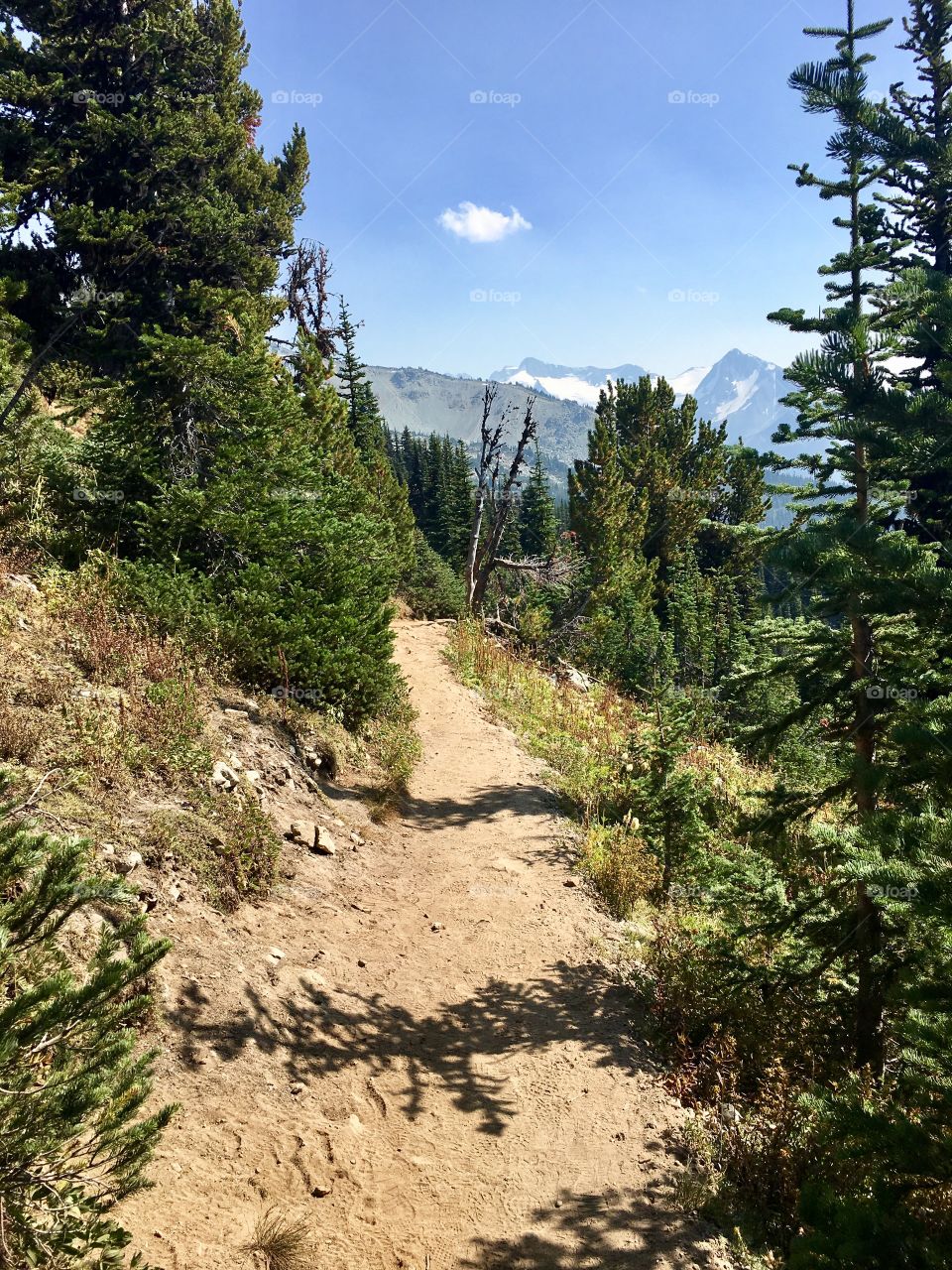 Hiking Trail, Blackcomb Mountain 