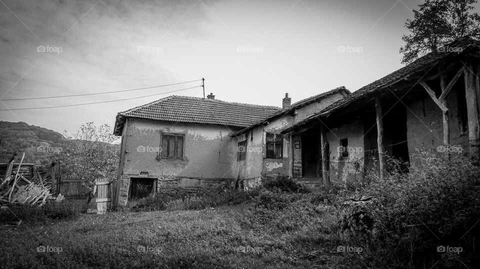 black and white life