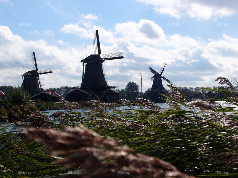 windmills