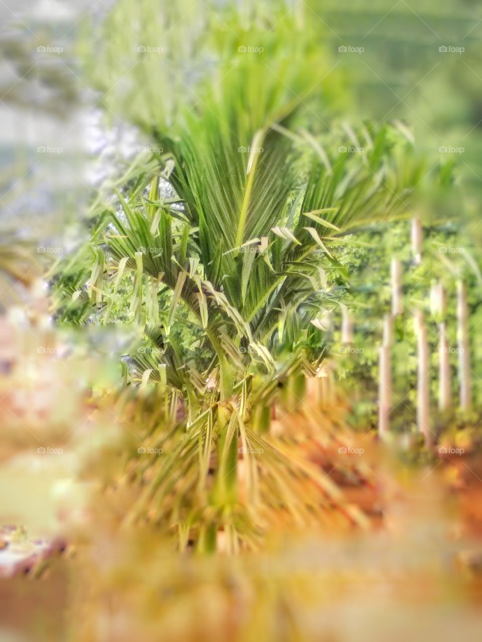 I am not behind money