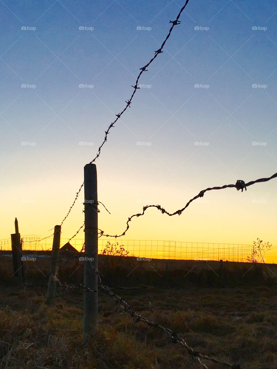 Farm fence 