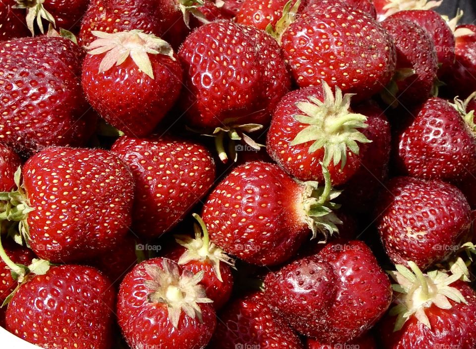 Freshly picked Ontario strawberries , juicy , ripe sweet smelling ..... yum 