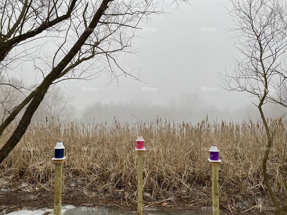Three brightly colored birdhouses by a pond
