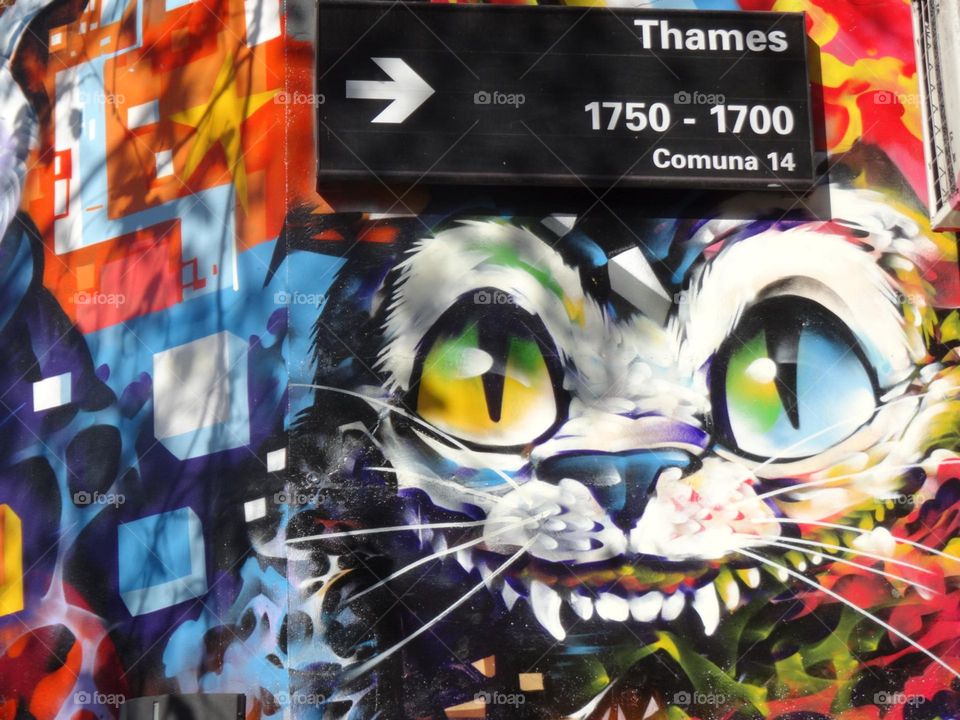 cat graffiti in Buenos Aires