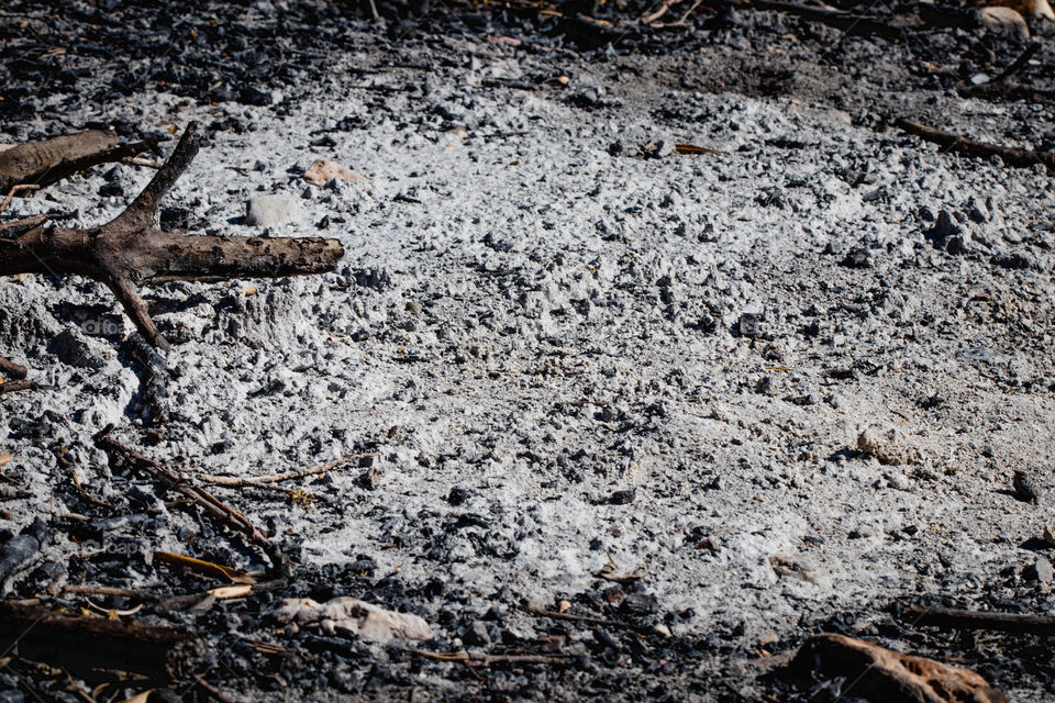 Burned wood and ashes on ground