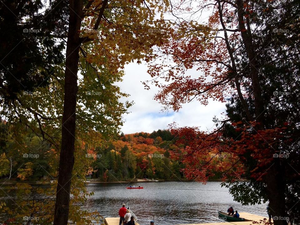 Mesmerizing Autumn of Canada 