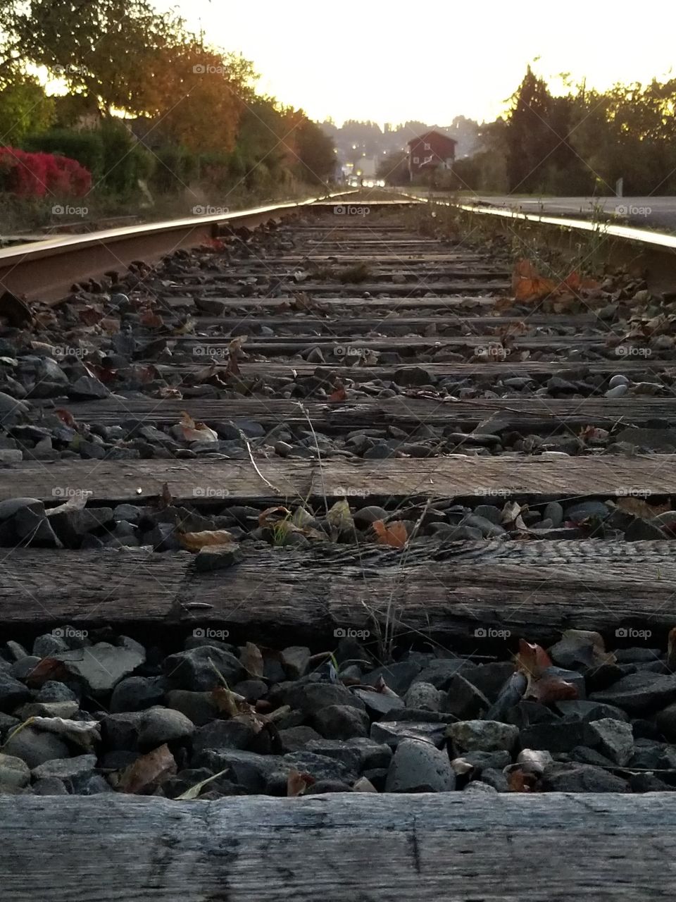 Railroad 17'