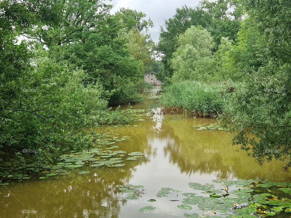 A view of the fort over the ditch