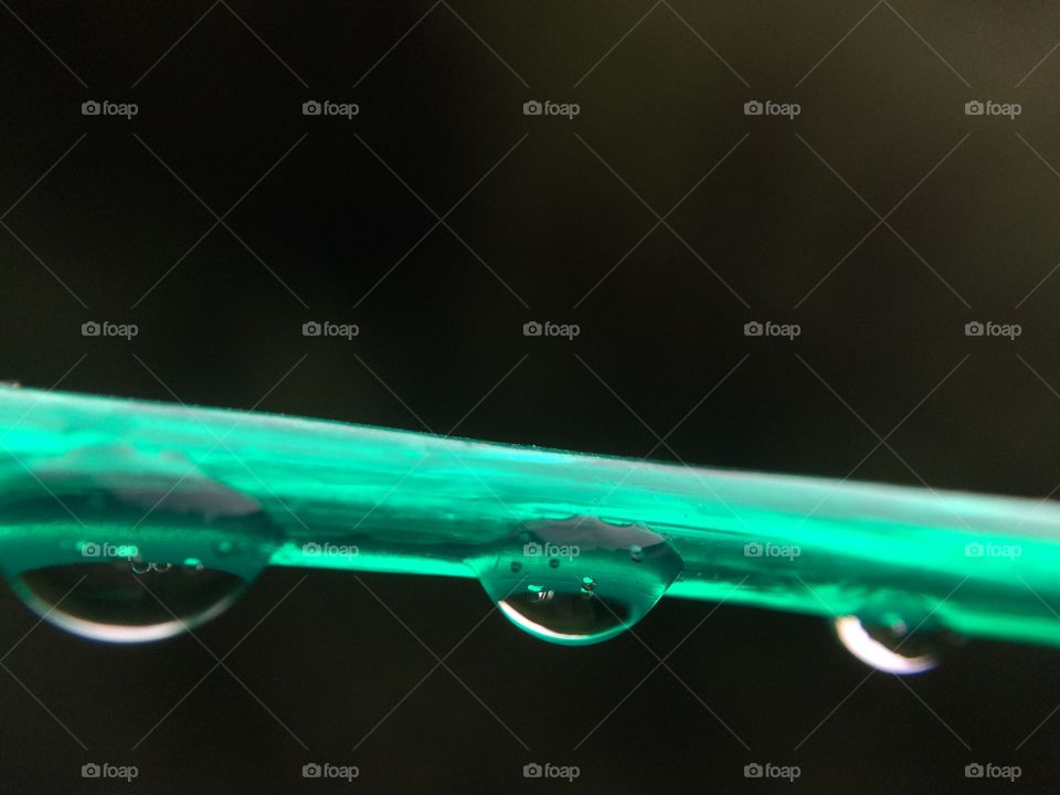 Raindrops on green leaf