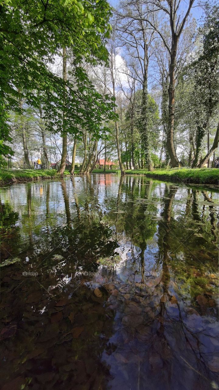 Lake in the park