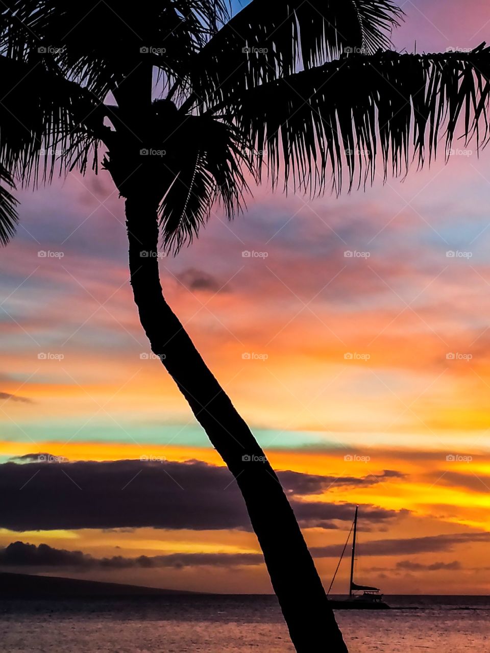 Sunset sail. Sunset sail