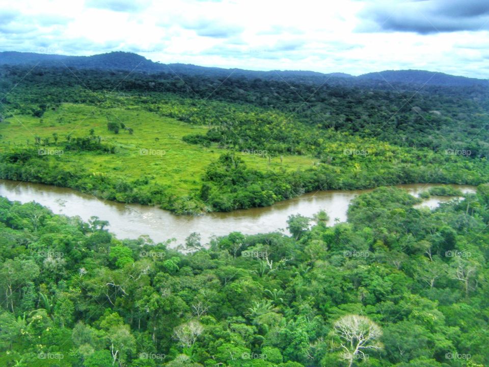 selva Brazil