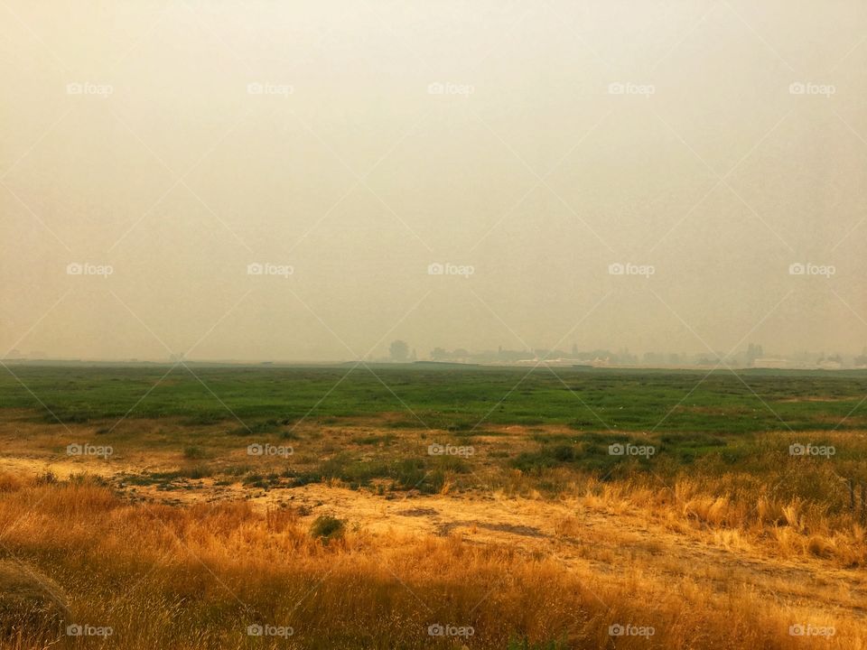 Smokey Day on the farm 