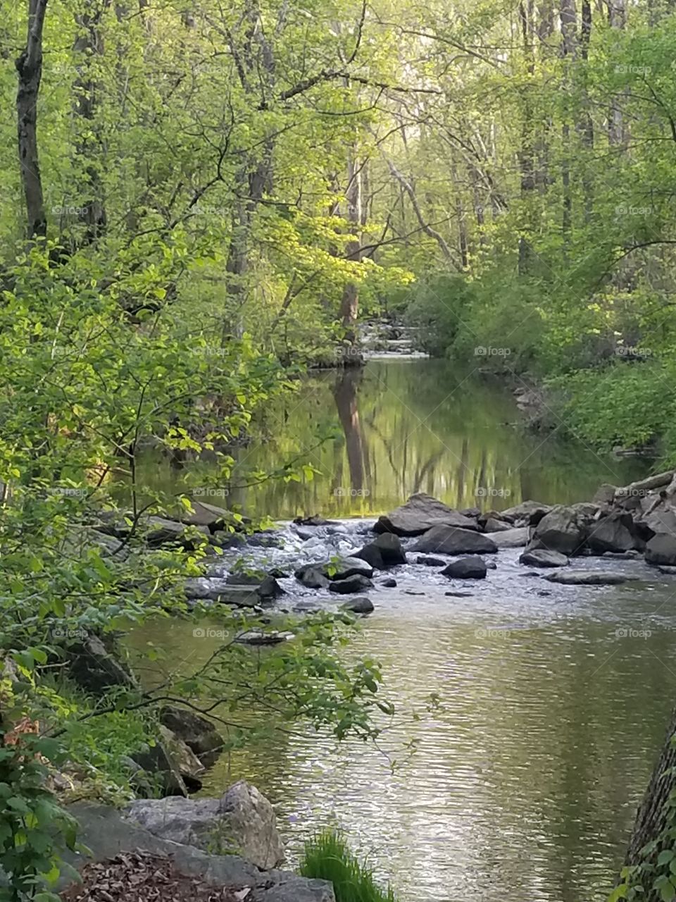 Philly Creek