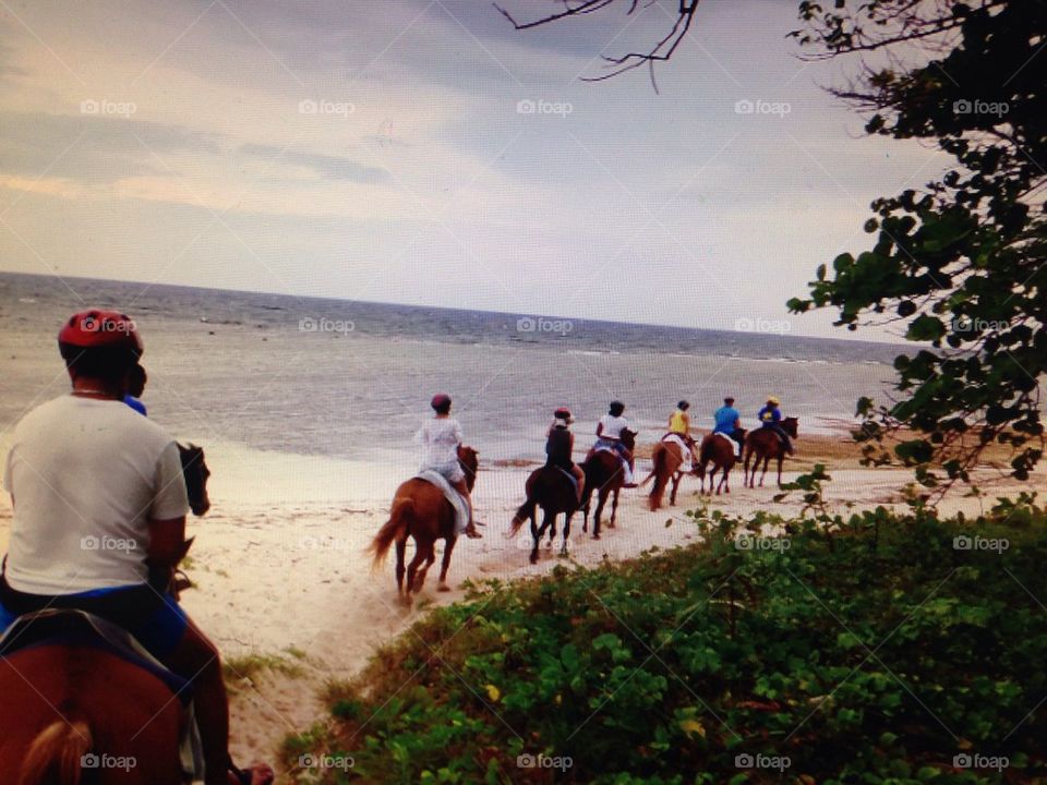 Horseback riding