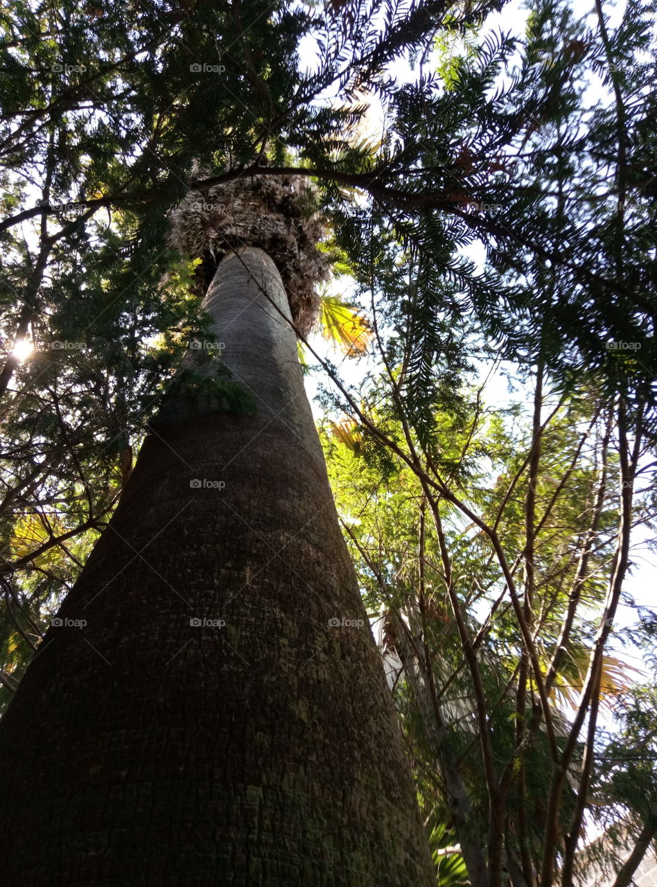 From the bottom of a palm