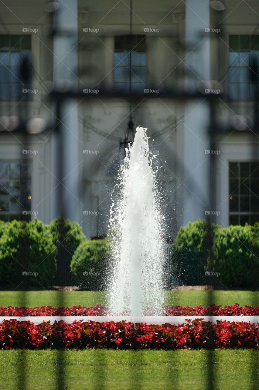 White House Water