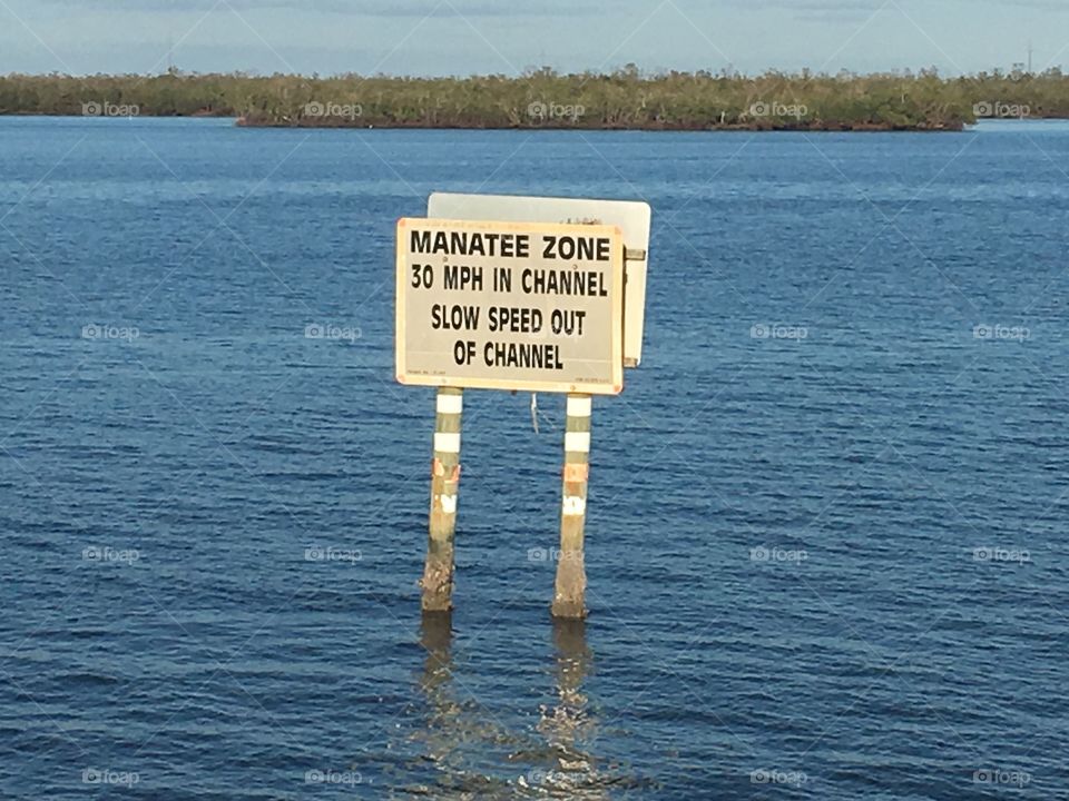 Manatee Zone