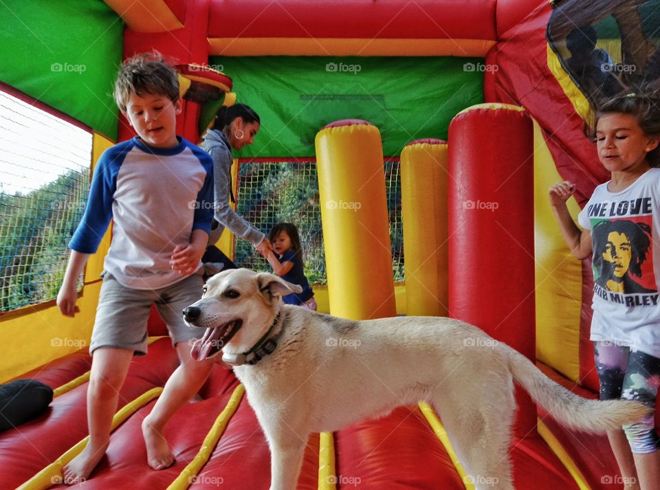Bounce House Fun. Kids Jumping In A Bounce House With The Family Dog

