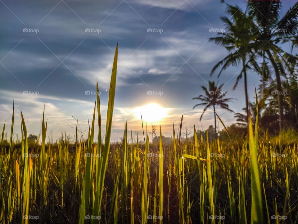 sunset is the incomparable beauty of nature