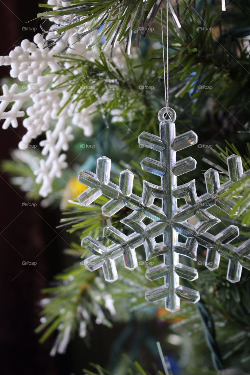 Snowflakes on tree