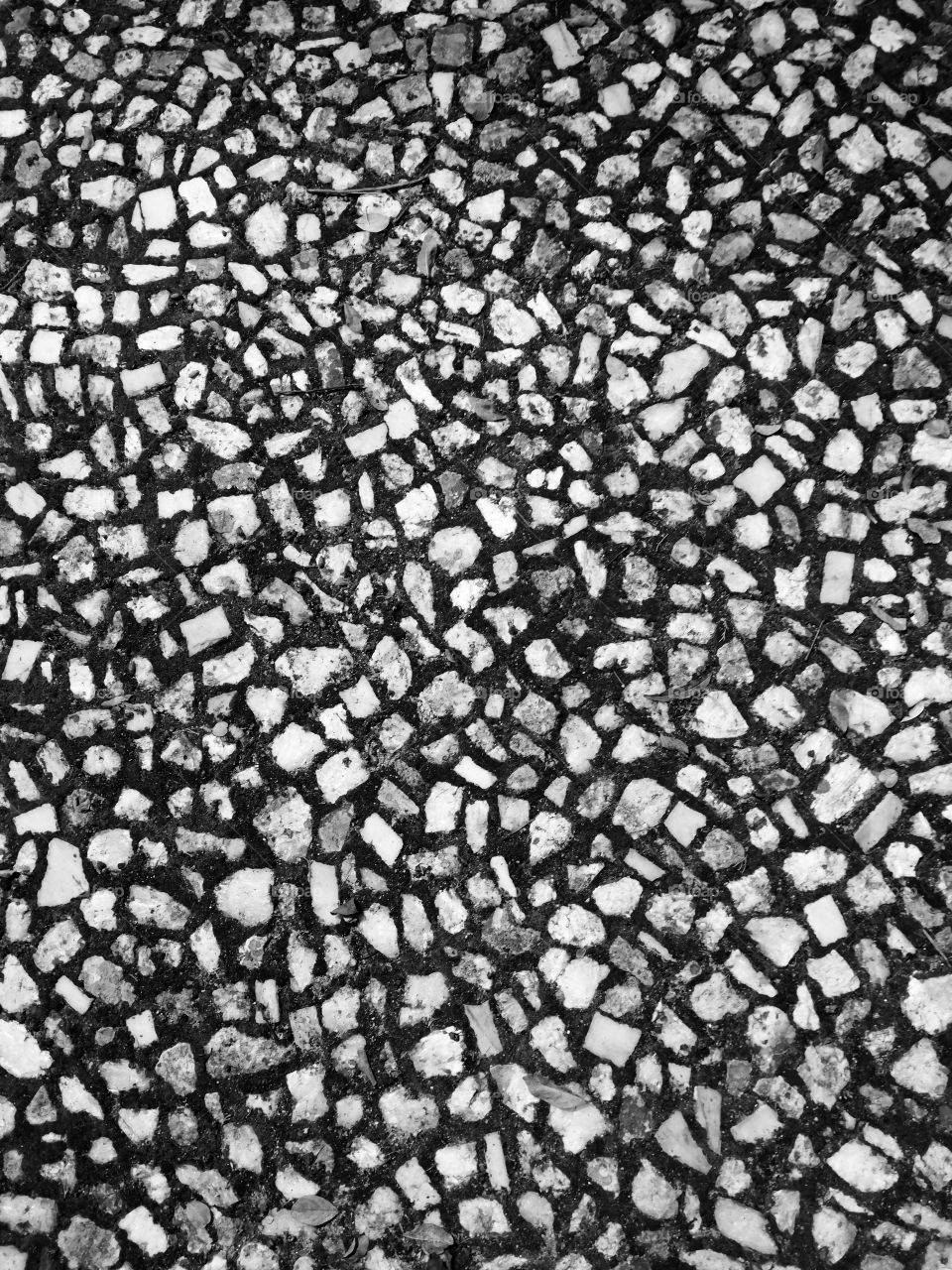 Monochrome Floor, Castelo de Vide, Portugal