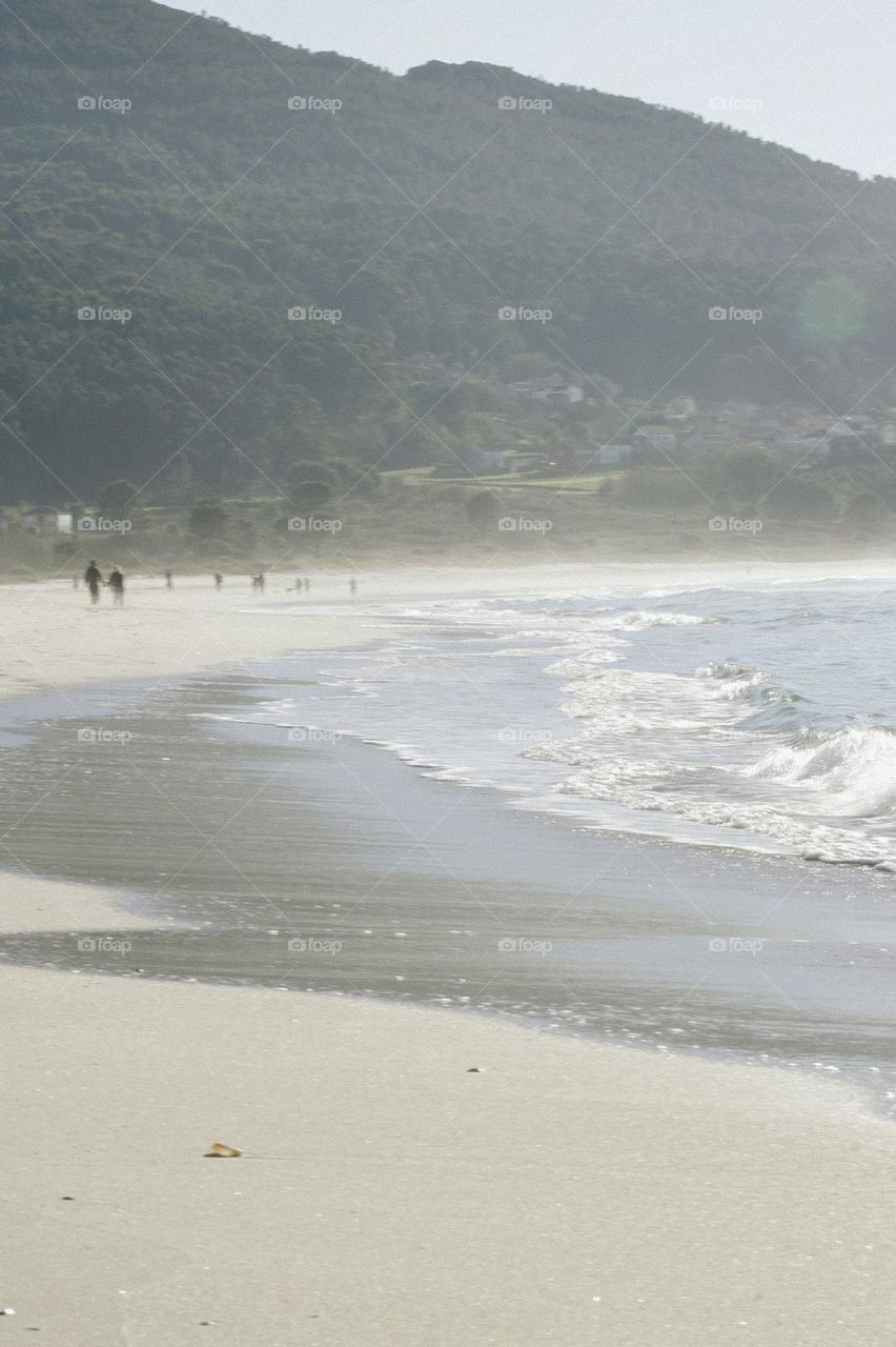 a walk by the shore