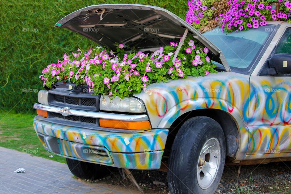 Flowers car