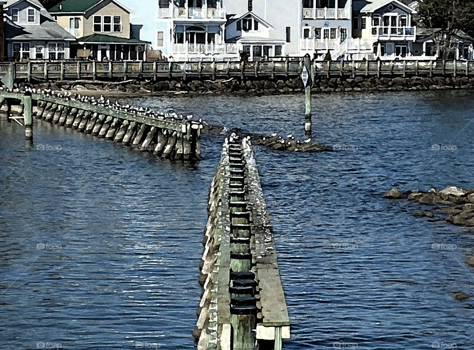 Seagulls on the pier, North Beach MD