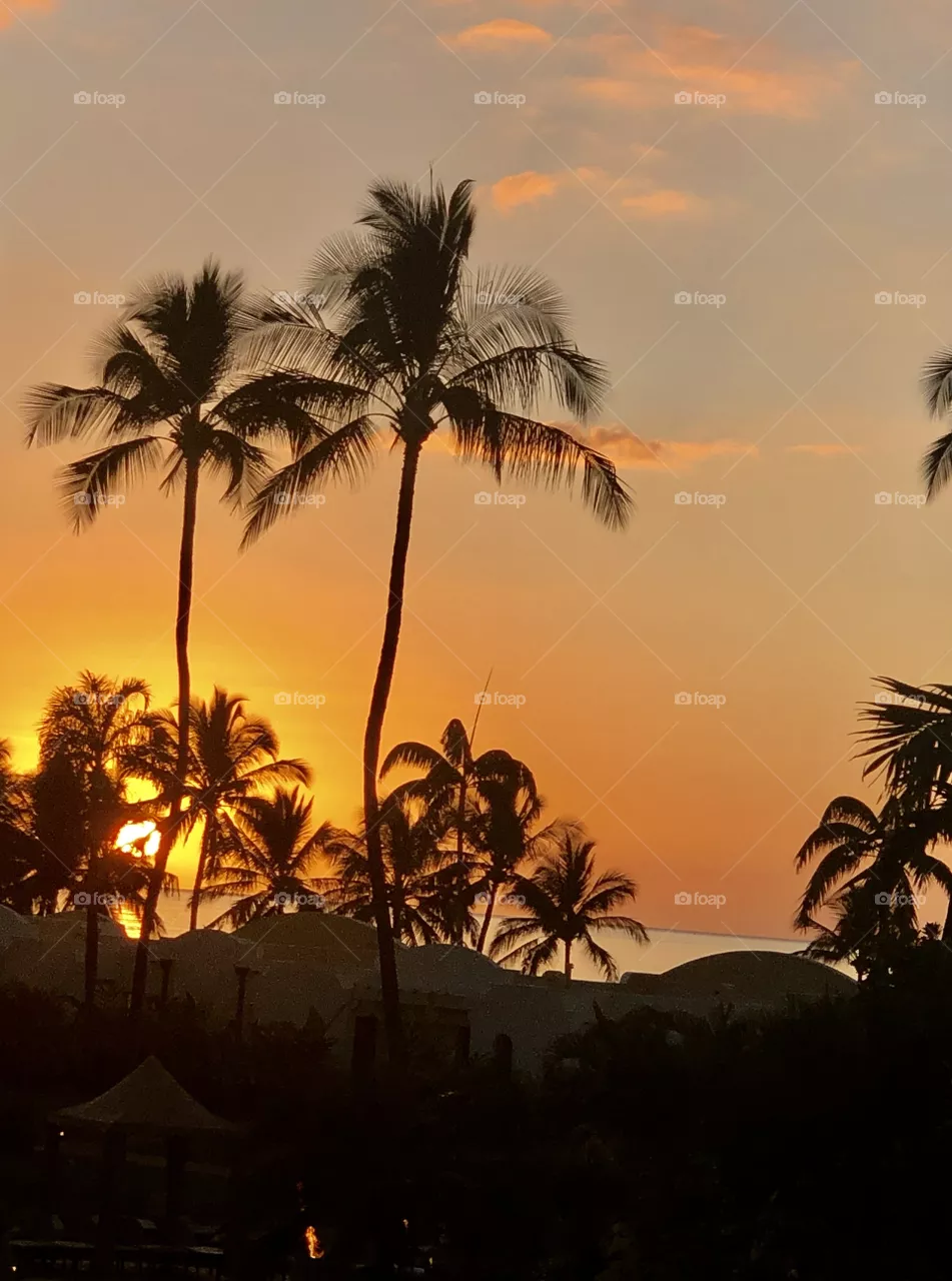 Maui sunset