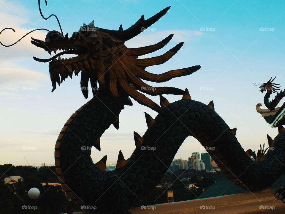 Ancient Chinese Dragon