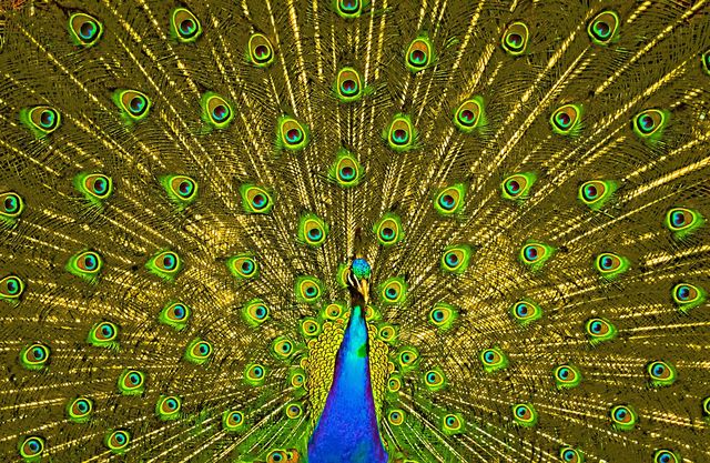Dare to be different (part two).