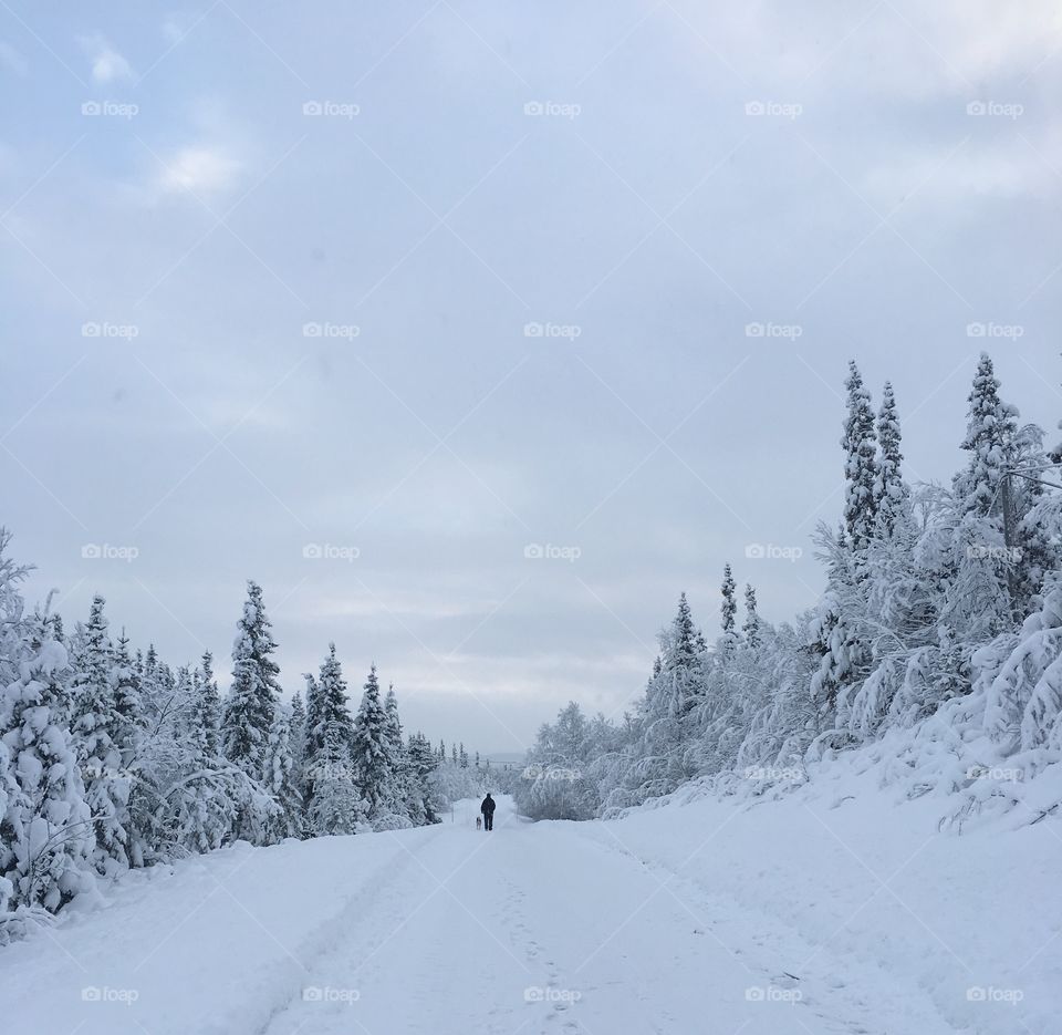 Man and dog walking in snowy landscape.