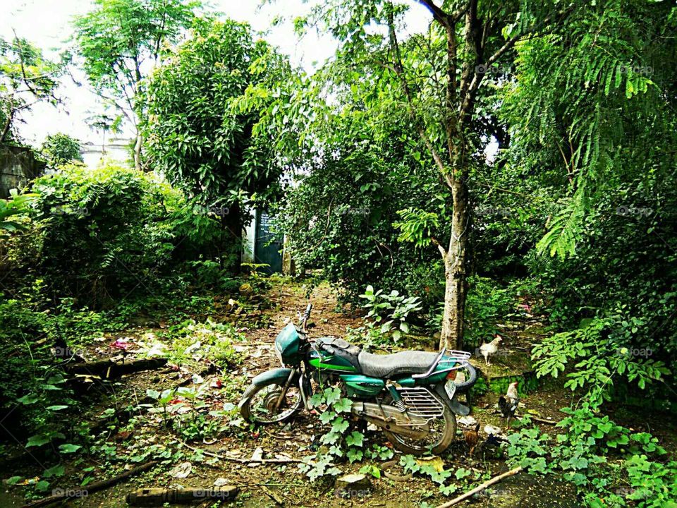 motor bike in junk yard in green nature