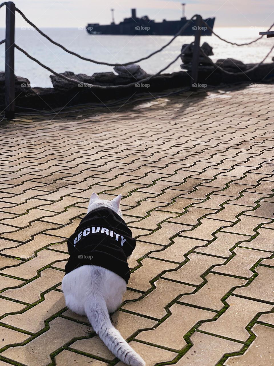 Security guard, but different 