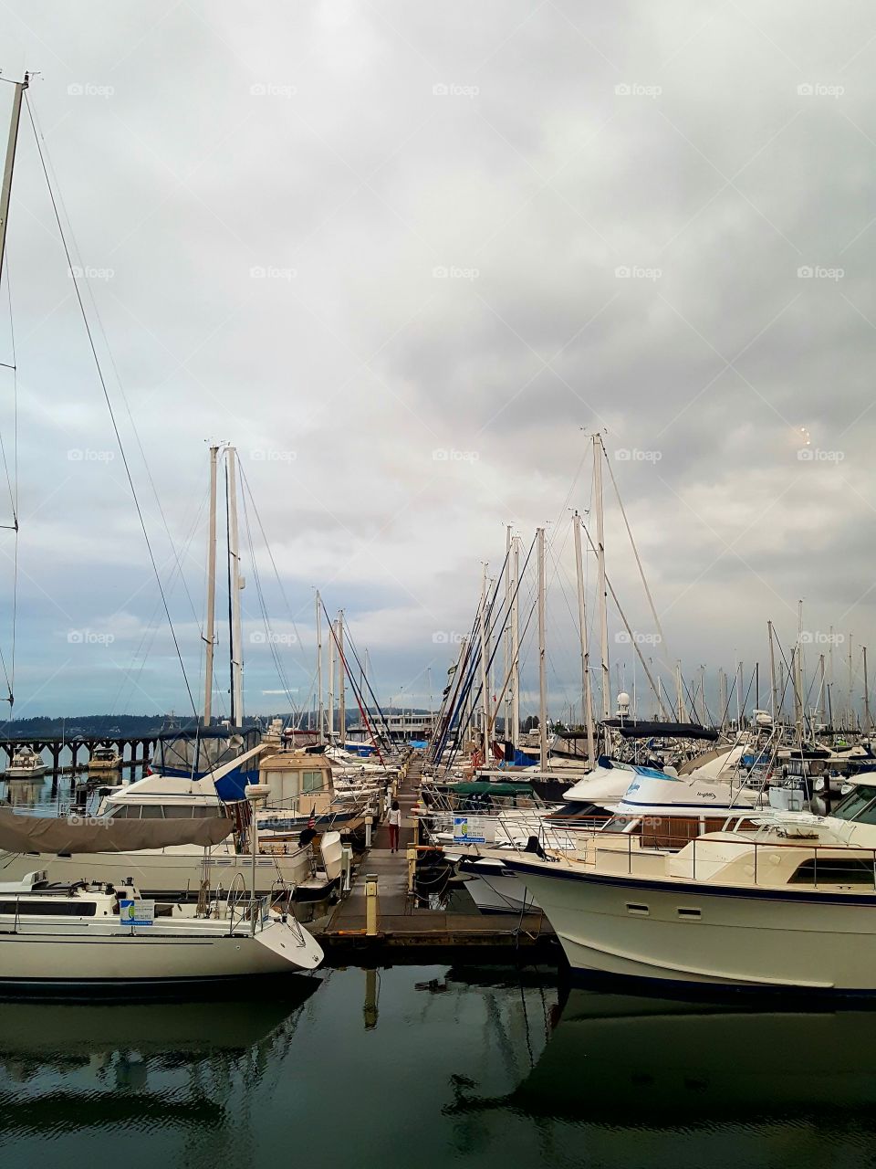 Marina, Everett Washington