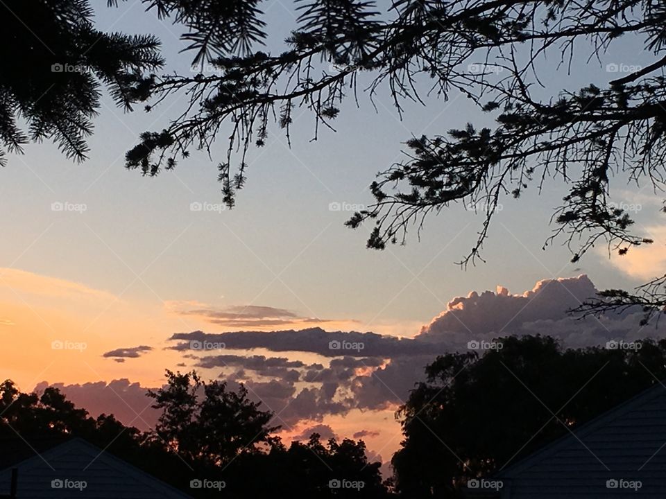 Sunset with trees