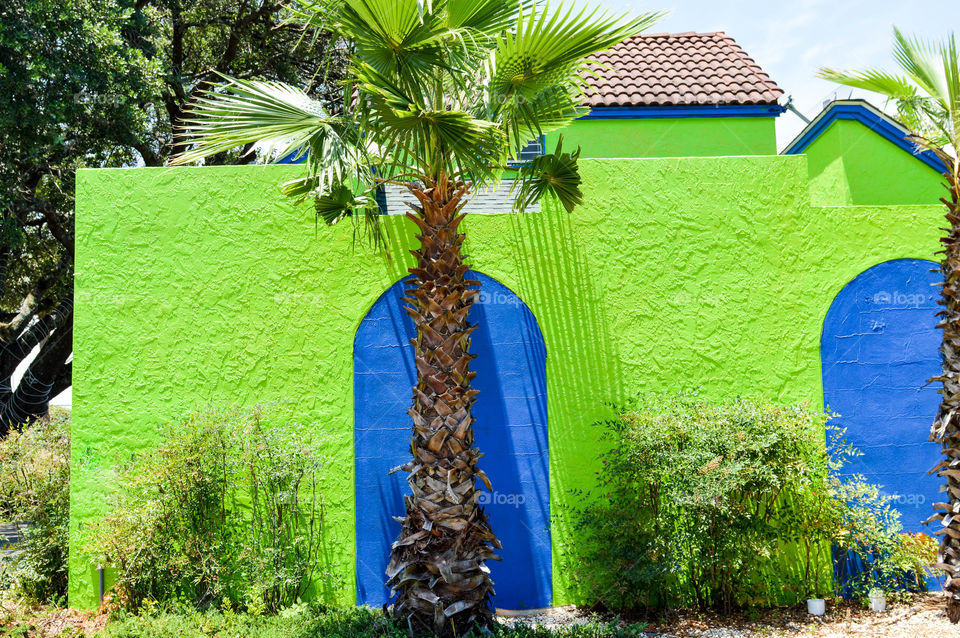 Palm tree in front of a bright, colorful building