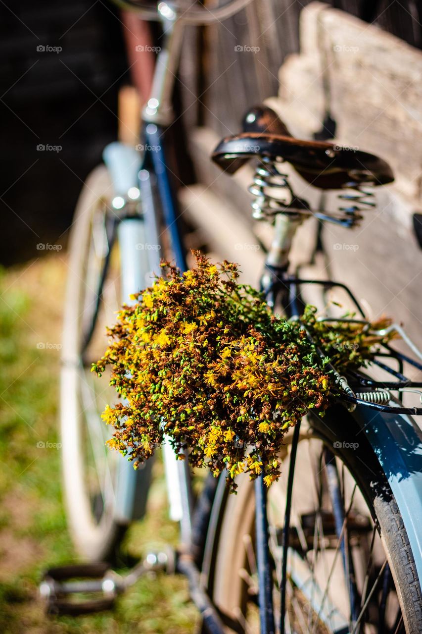 vintage bicycle