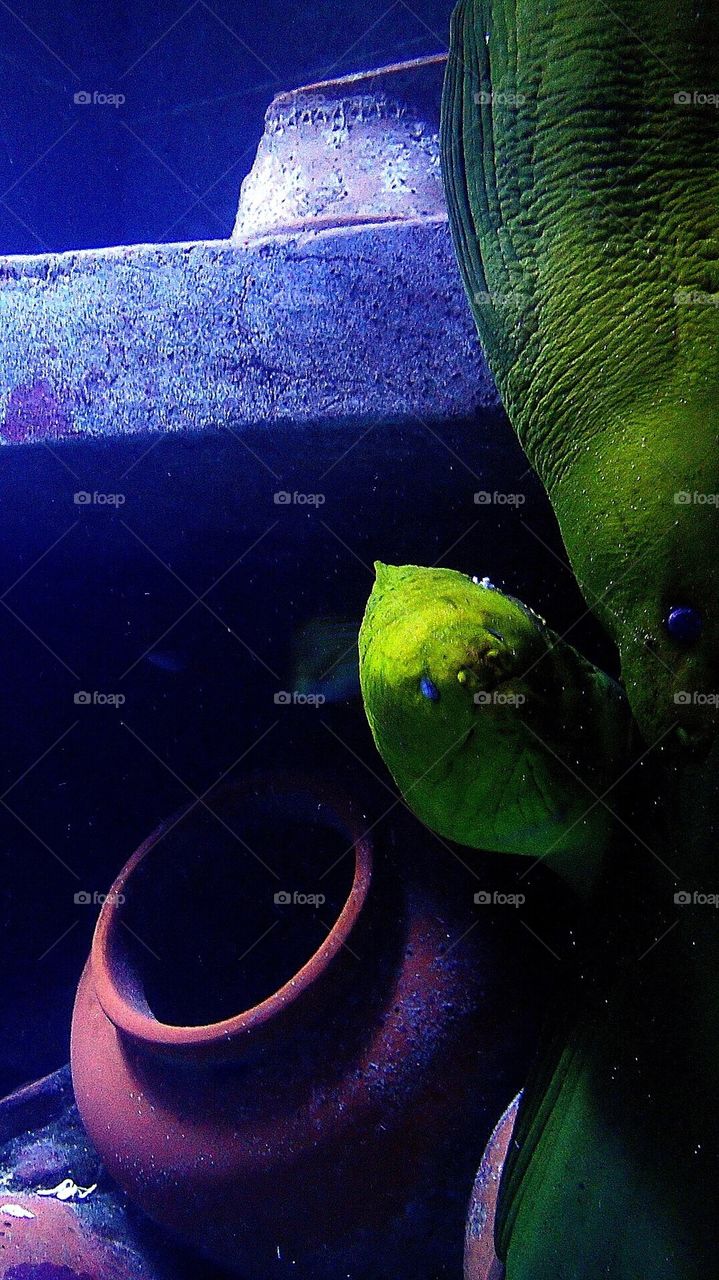 What Do We Have Here?