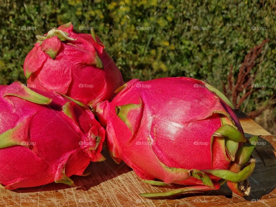 Dragon Fruit