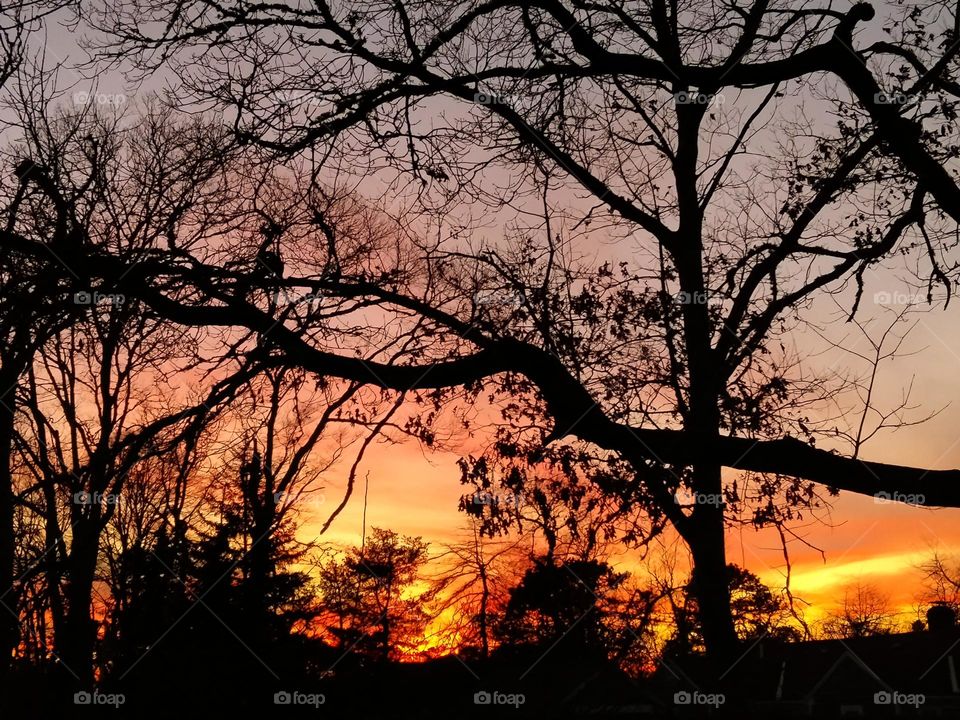 Winter Sunset Cape Cod Massachusetts