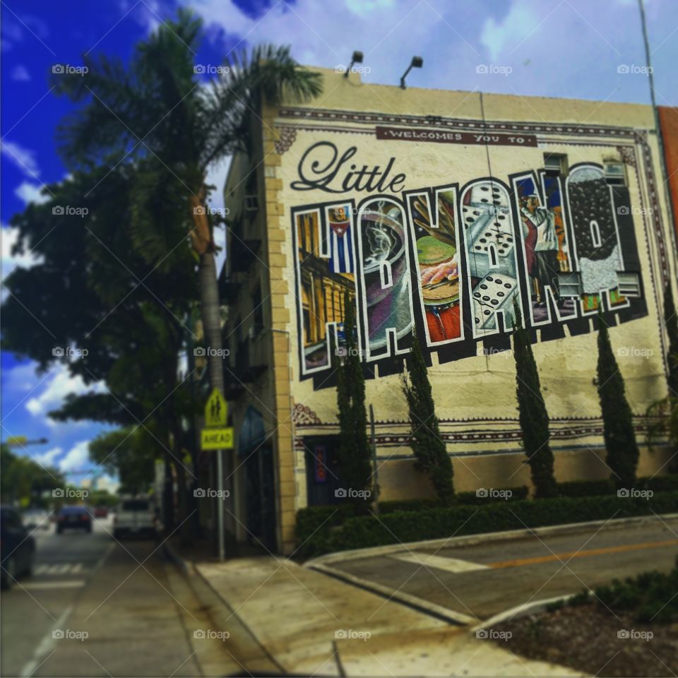 Little Havana