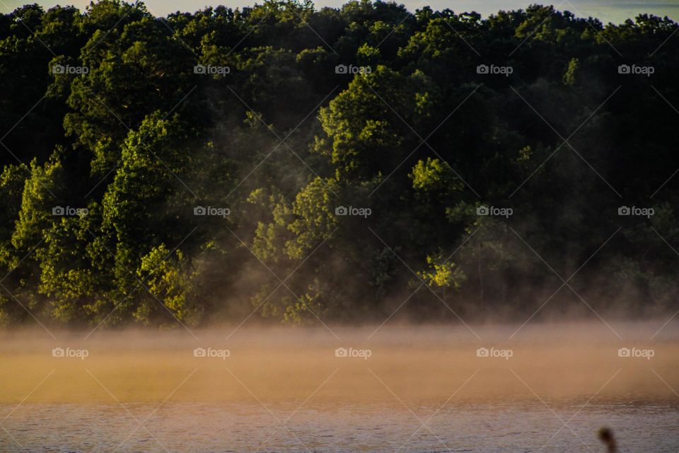 sunrise over a misty lake