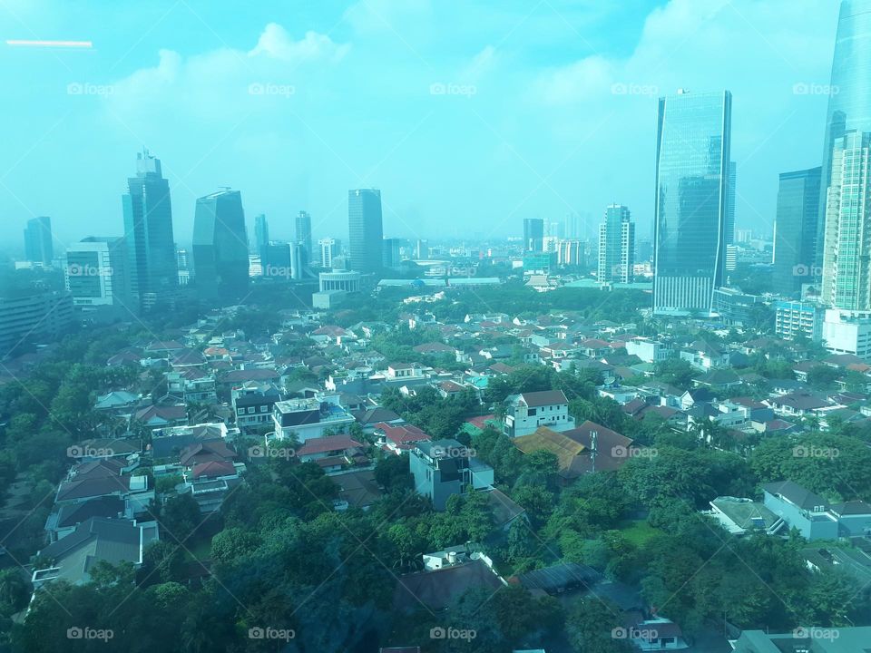 foggy weather in the morning