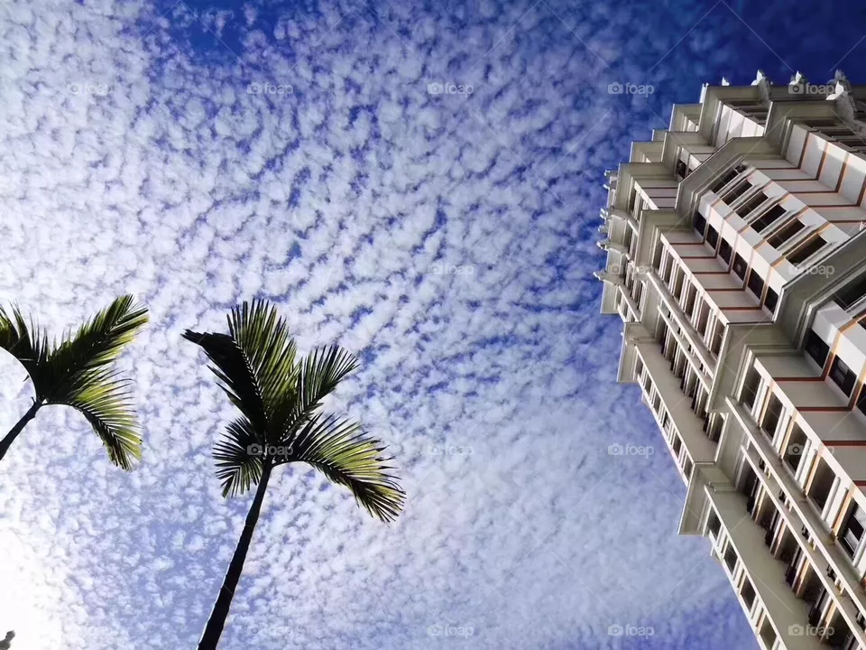 Cloudy Sky